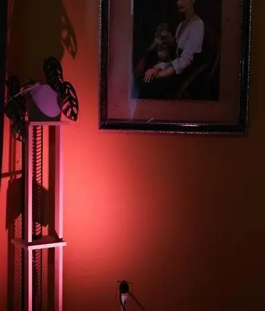 Sahara With Shared Bathroom In Centre 公寓 布拉迪斯拉发