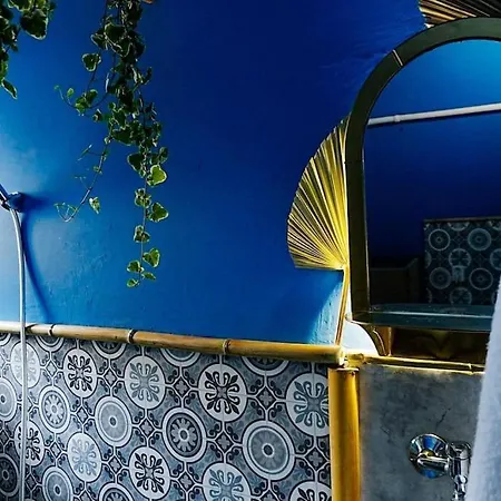דירה Sahara With Shared Bathroom In Centre ברטיסלאבה