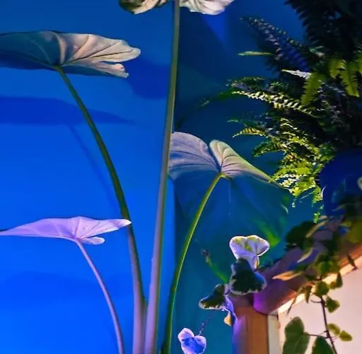 Sahara With Shared Bathroom In Centre شقة *