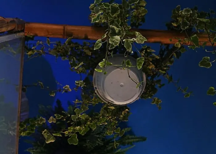 Sahara With Shared Bathroom In Centre * براتسيلافا