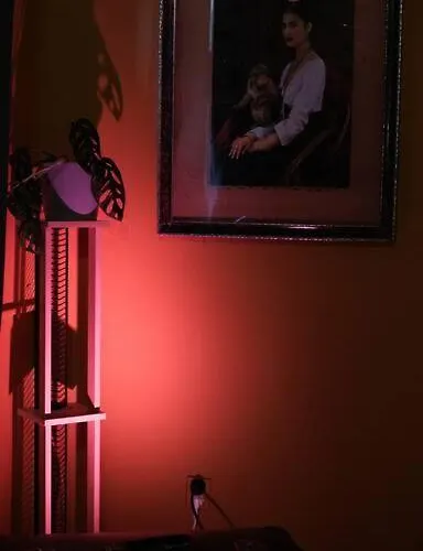 Sahara With Shared Bathroom In Centre شقة براتسيلافا