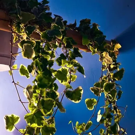 Appartement Sahara With Shared Bathroom In Centre Bratislava